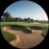 Image for T Golf Palma course
