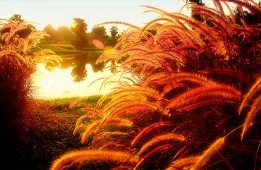 Golf course - Summit Green Valley Chiangmai Country Club